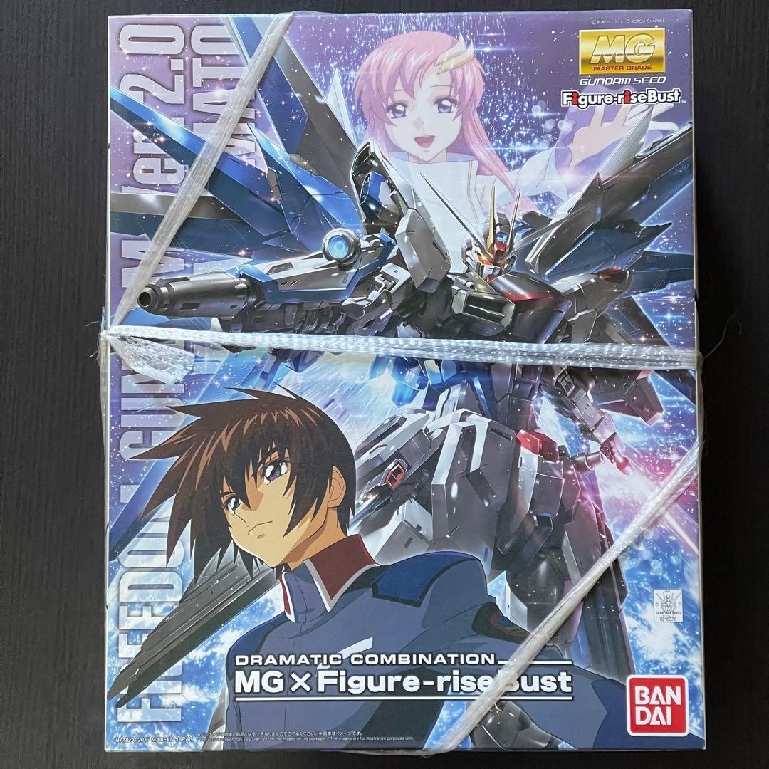 フリーダムガンダムVer.2.0 MG x Figure-rise Bust