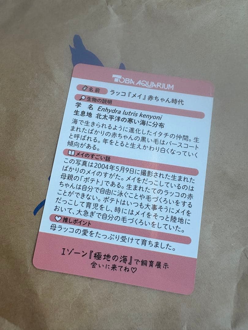 鳥羽水族館　コレクションカード　メイ　レアカード　ラッコ