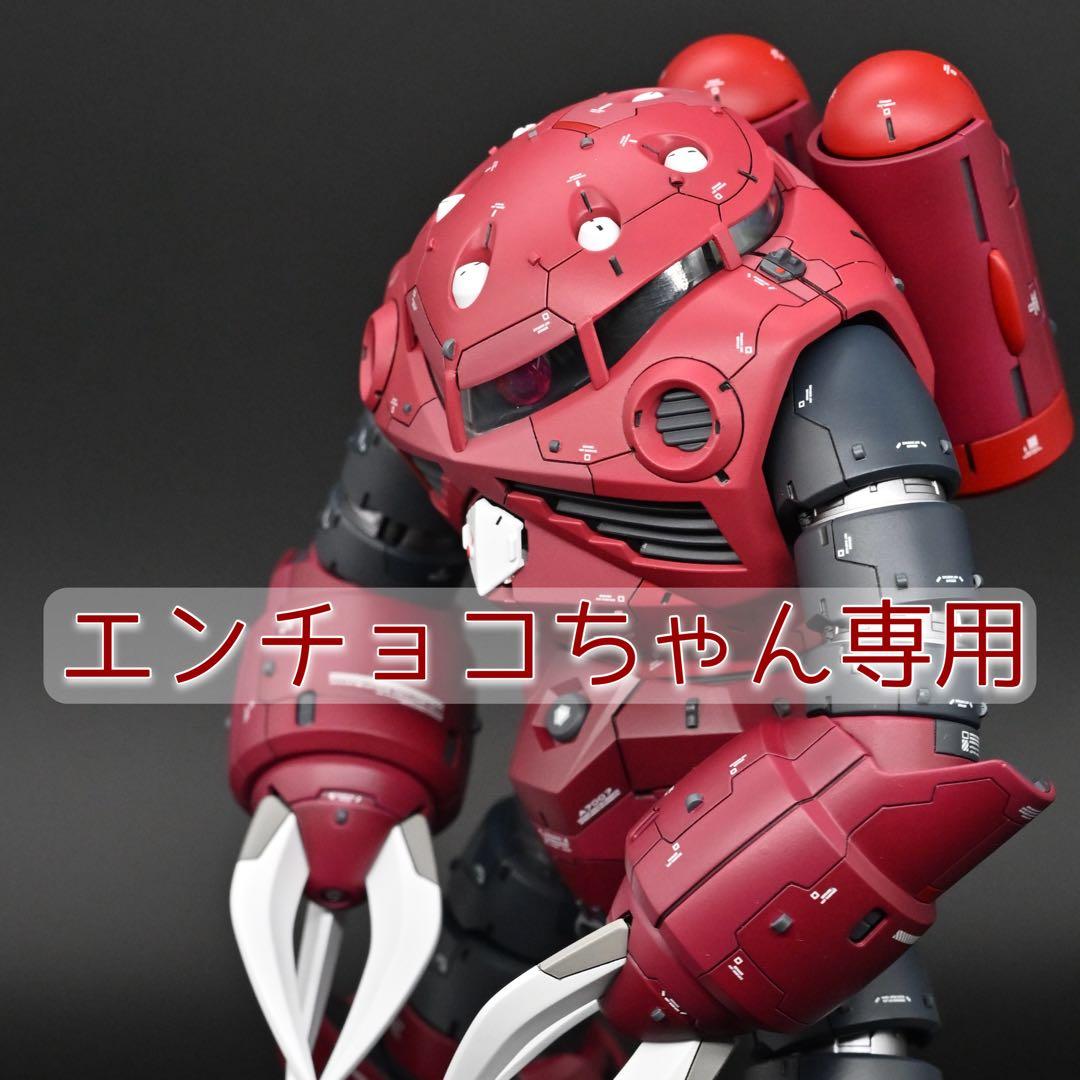 エンチョコちゃんさん専用　MG 1/100 シャア専用ズゴック 塗装完成品
