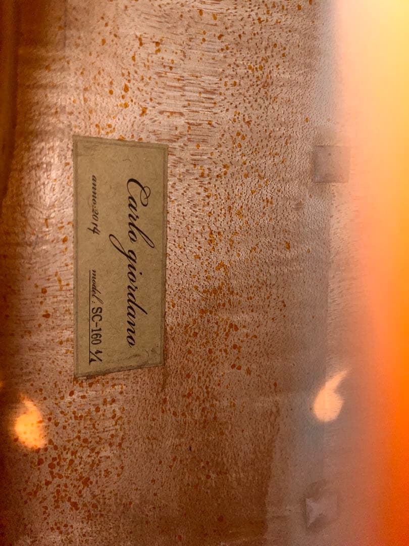 チェロ　カルロ•ジョルダーノ　ハードケースセット