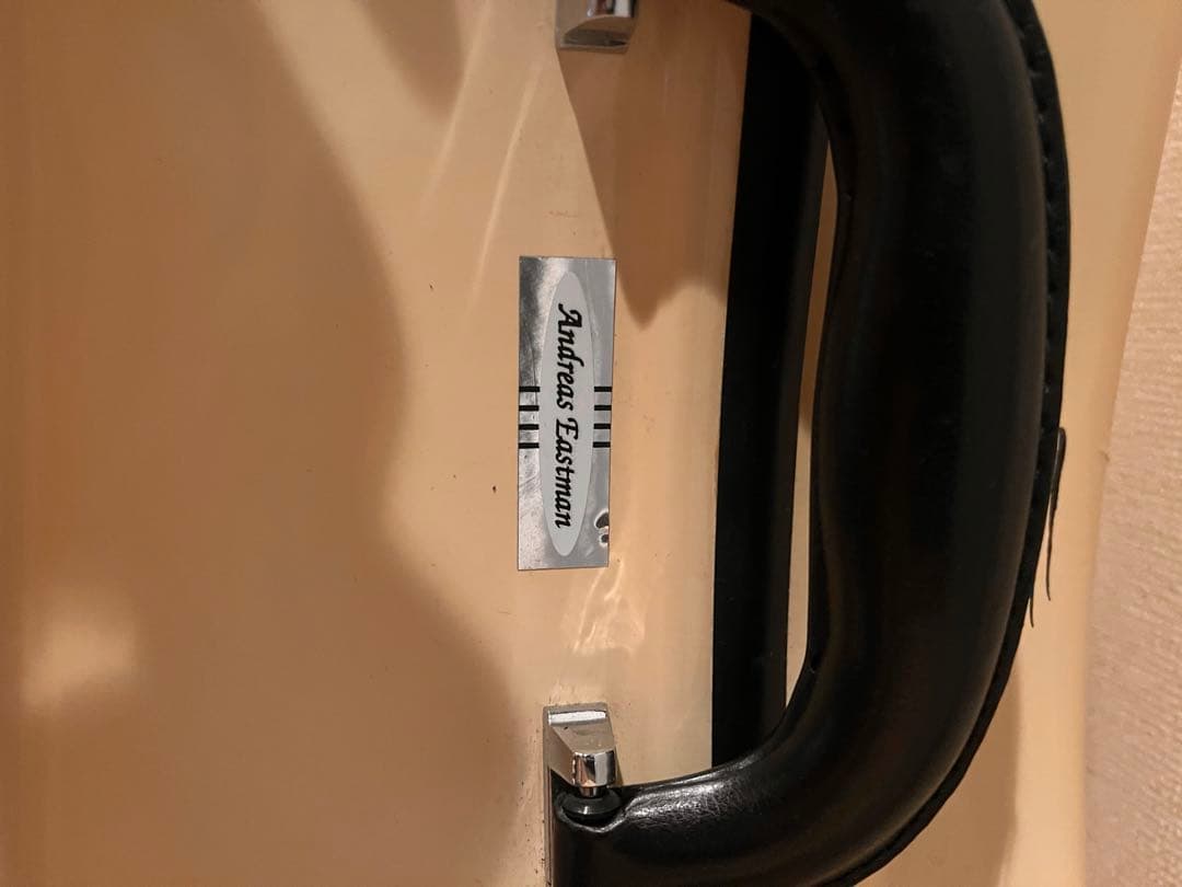 チェロ　カルロ•ジョルダーノ　ハードケースセット