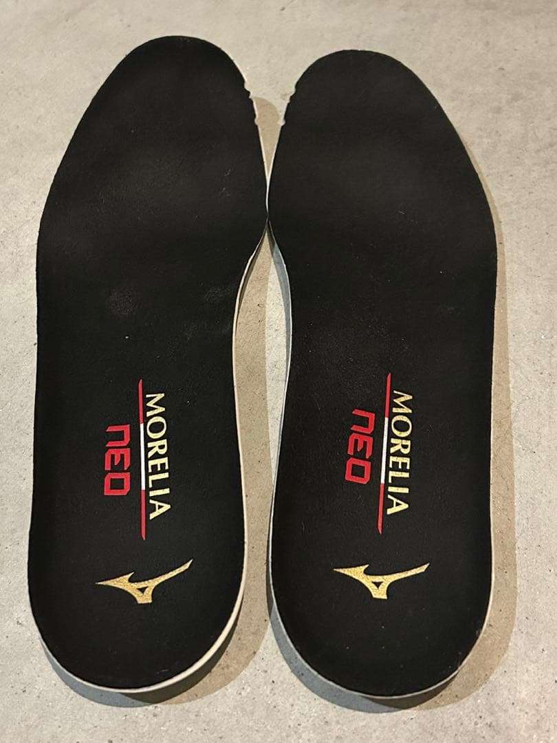 モレリア neo 27.0