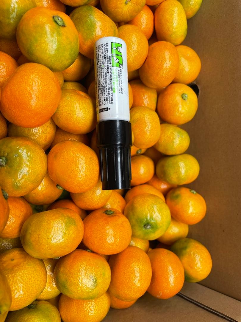 ⑴佐賀県唐津産ハウスみかん 10kg 約300玉