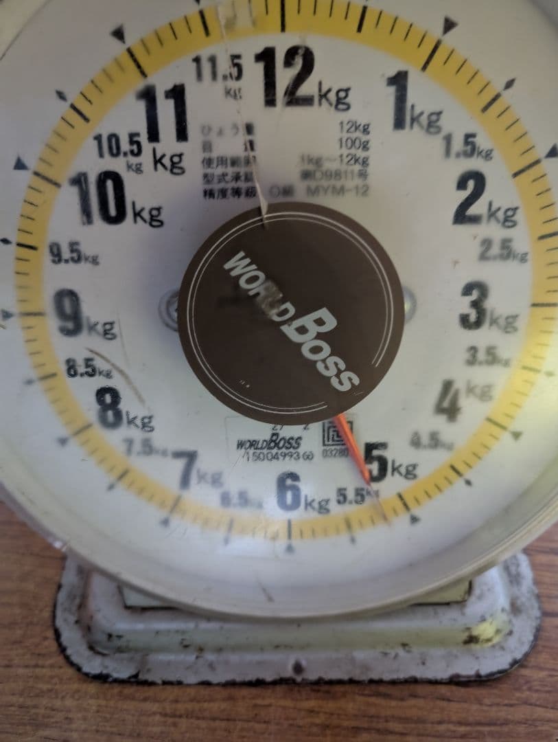 山梨県産ぶどう　スカーレット　10房入り　箱込み約5.2kg