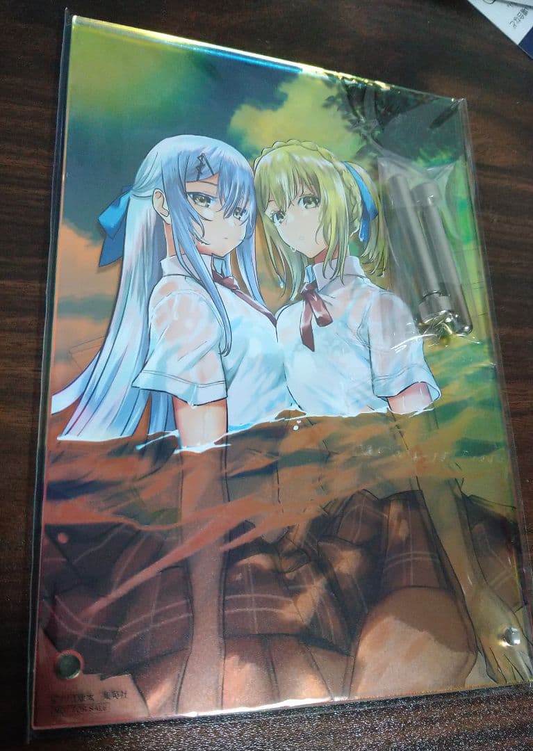 鵺の陰陽師　オーロラアクリルボード