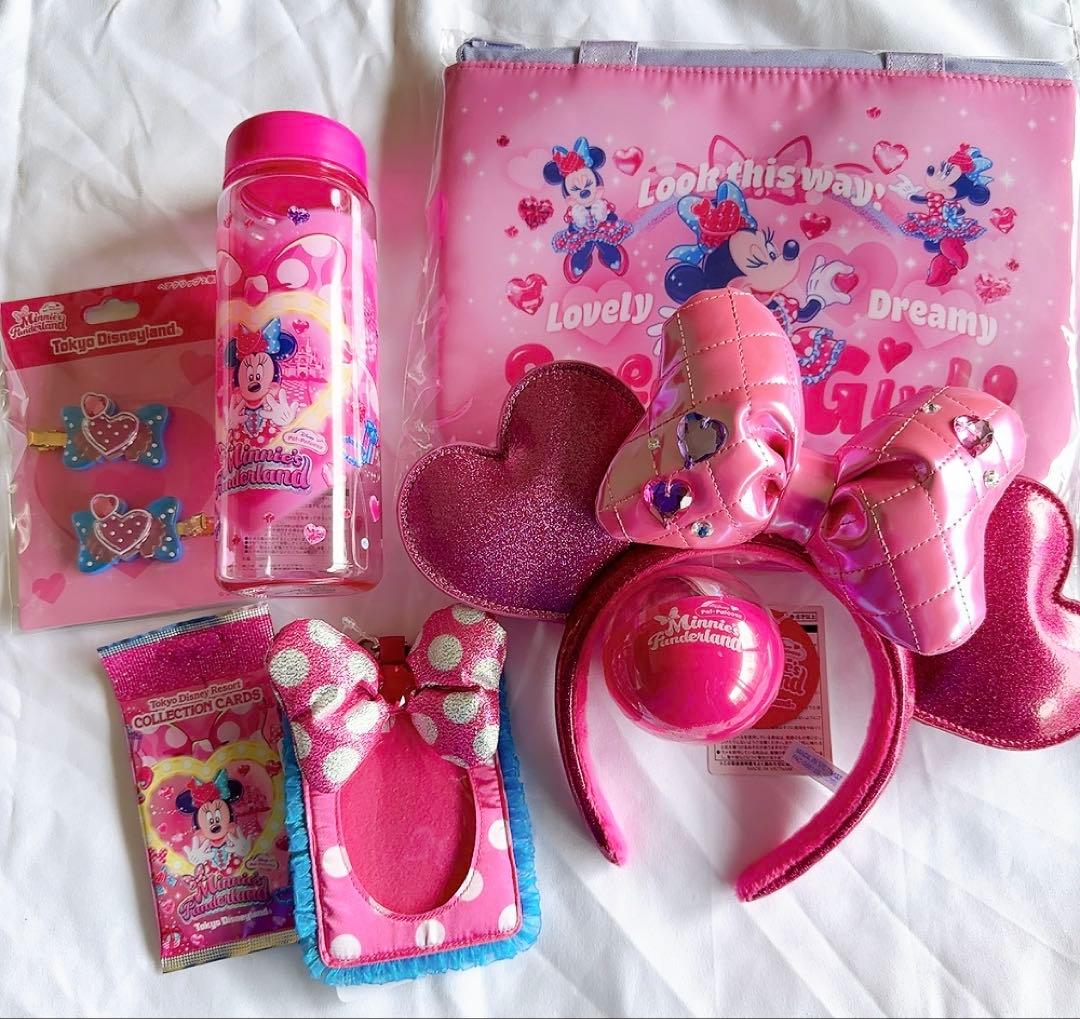 ディズニーパルパルーザ　ミニーのファンダーランドグッズ　トレーナー　スーベニア