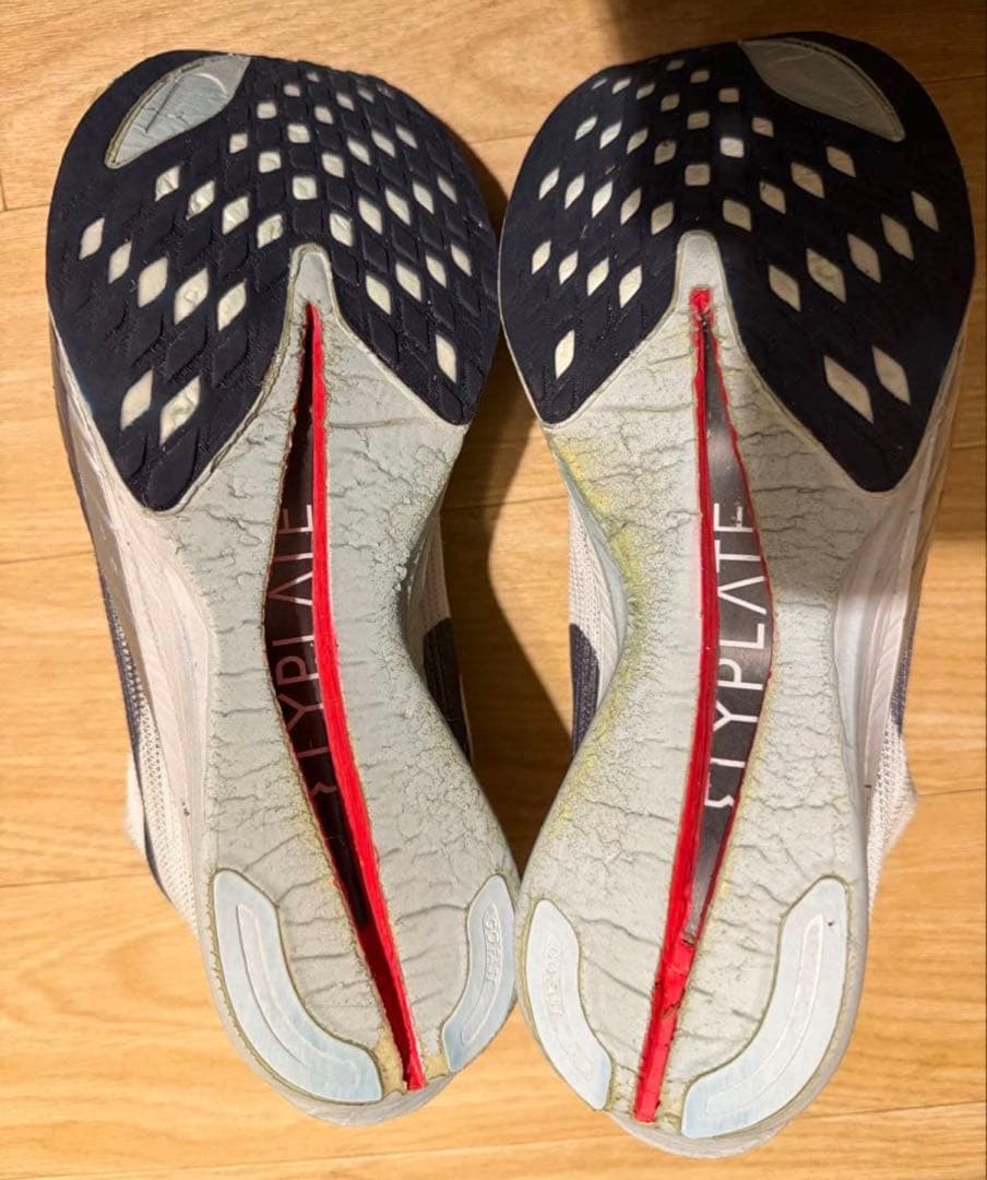 ナイキ　ストリークフライ2 25.5