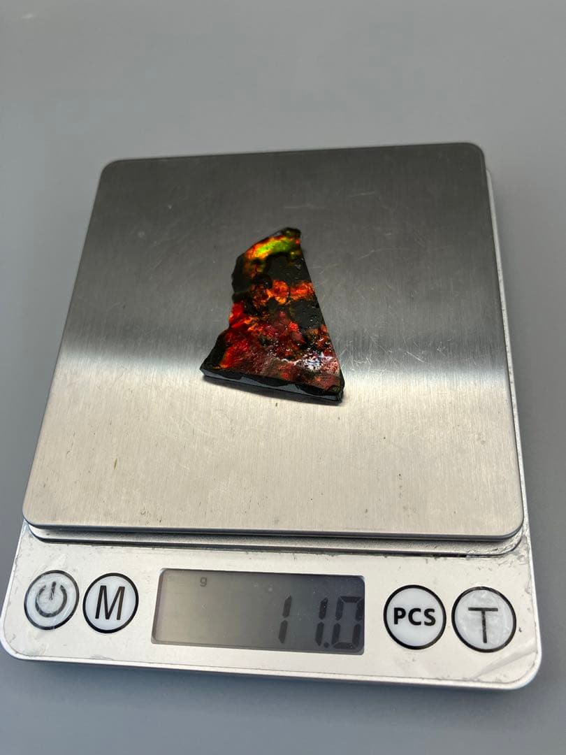 化石　原石　アンモライト　アンモナイト　カナダ産　幅4.4cm 箱付き