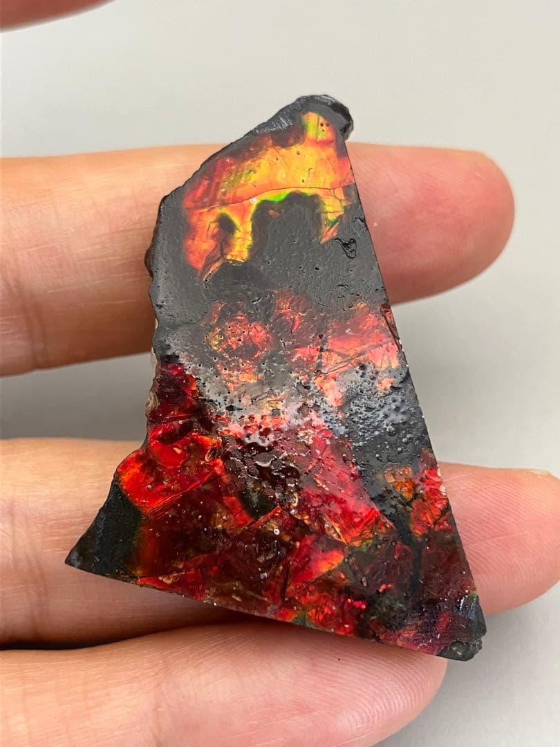 化石　原石　アンモライト　アンモナイト　カナダ産　幅4.4cm 箱付き