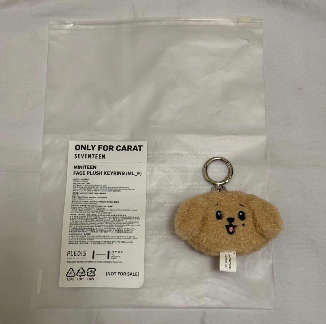 SEVENTEEN サノク キーリング DOA