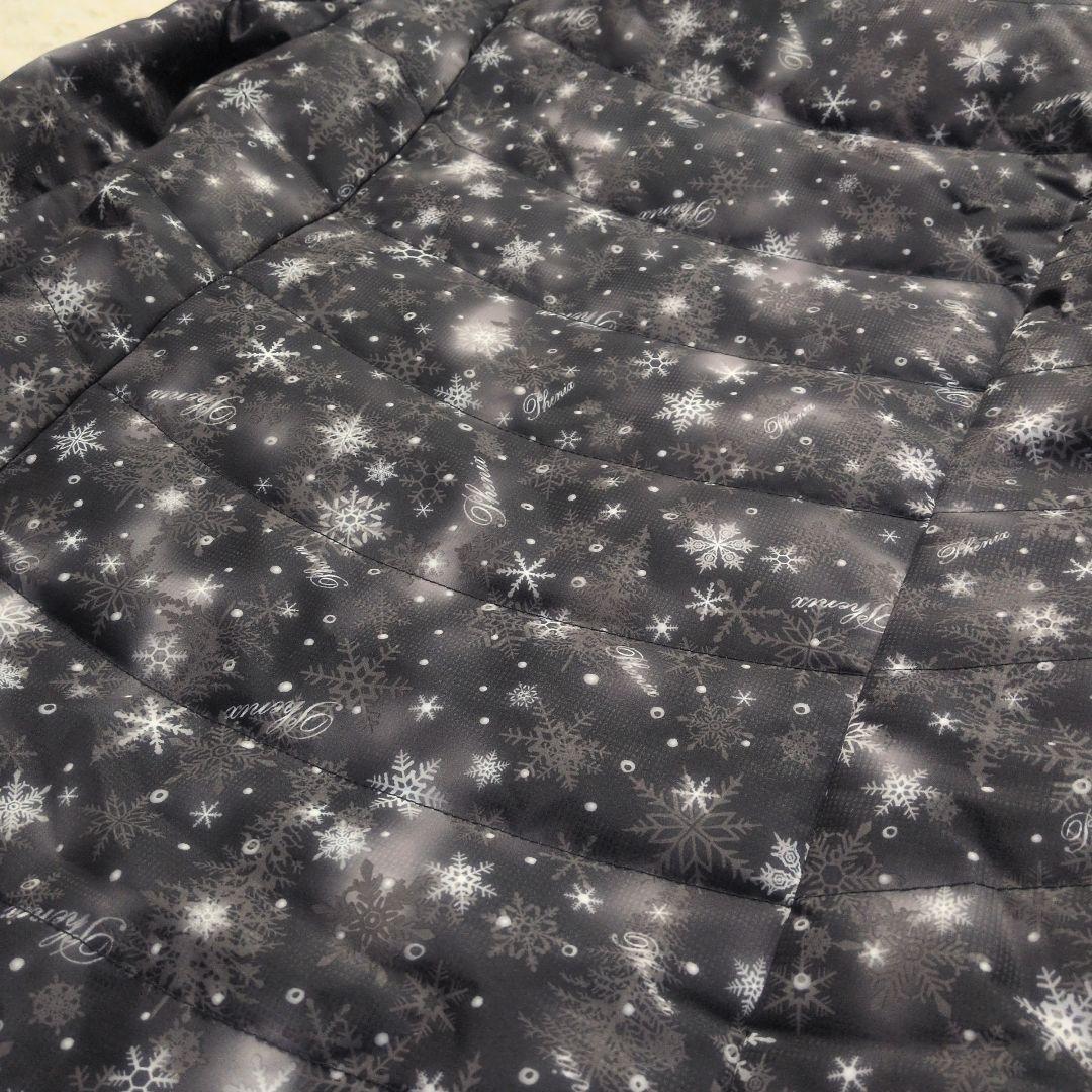 【タグ付き✨PHENIX✨L】スキー スノー スノボ ウェア セットアップ 上下