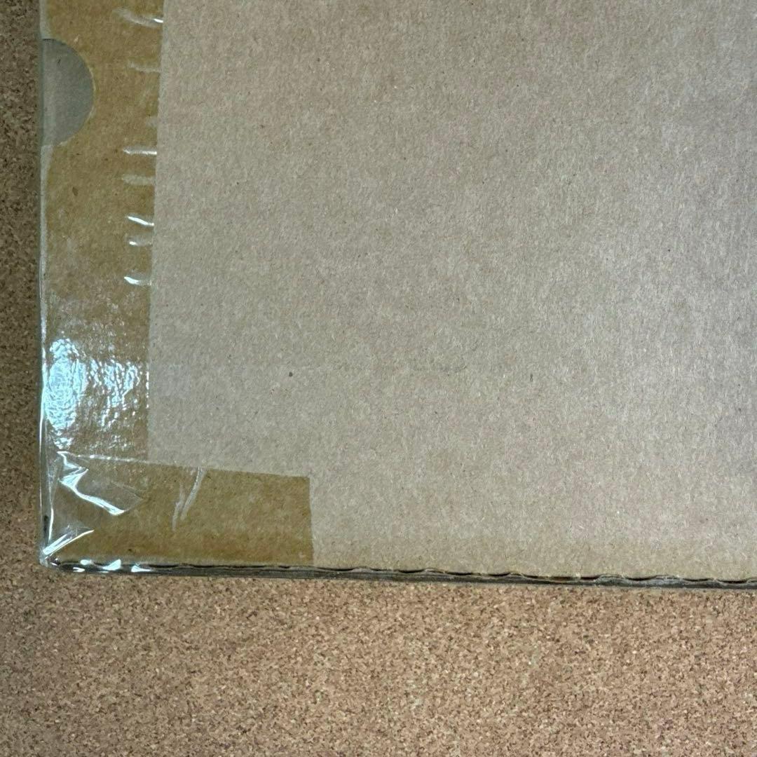 【未開封】S.I.C. 仮面ライダー新2号