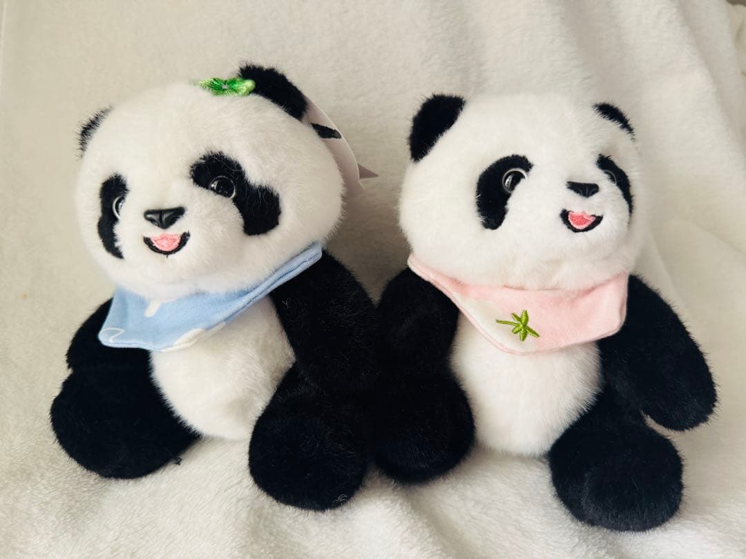 中国 パンダ ぬいぐるみ 2体セット 和花 和葉