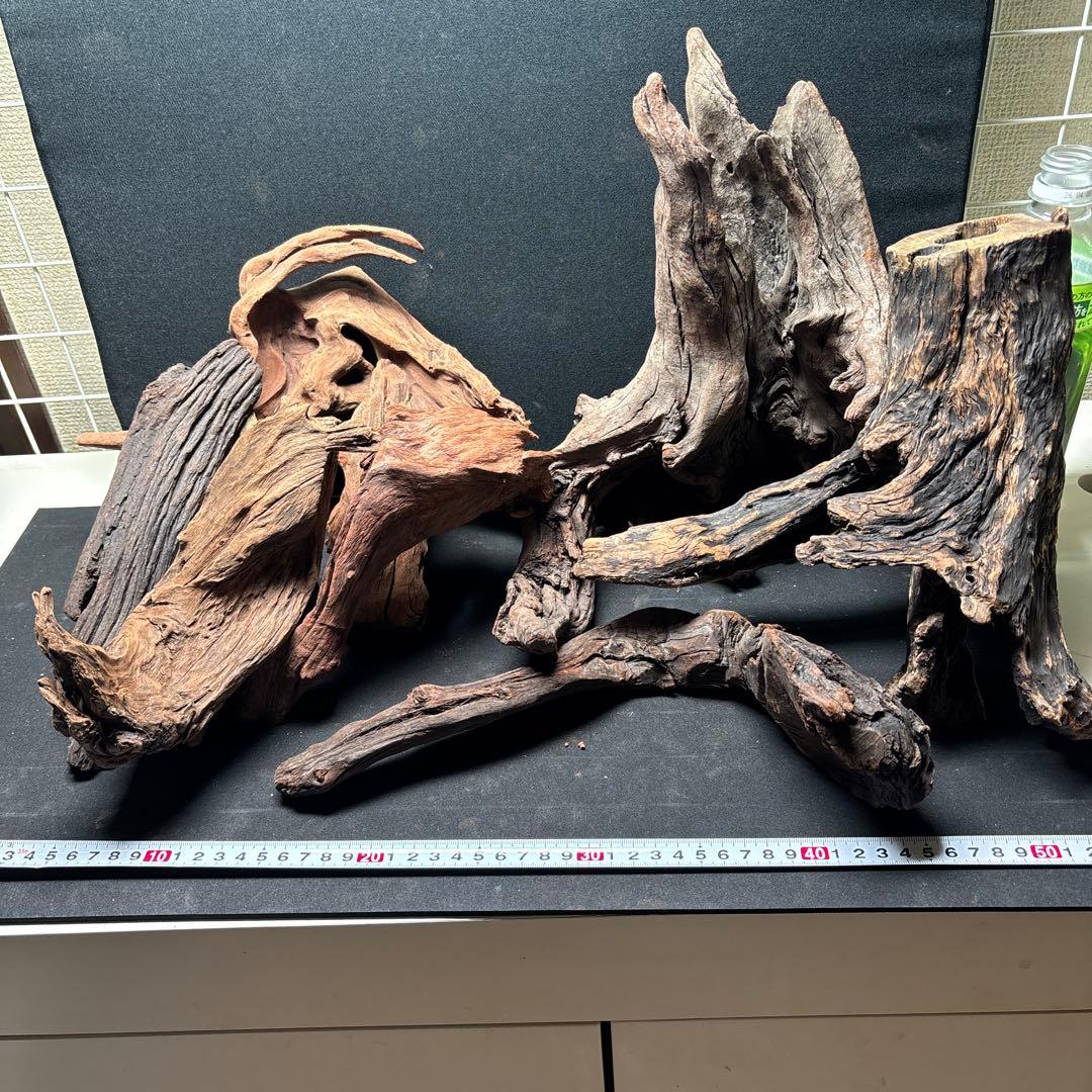 ADAホーンウッド9個