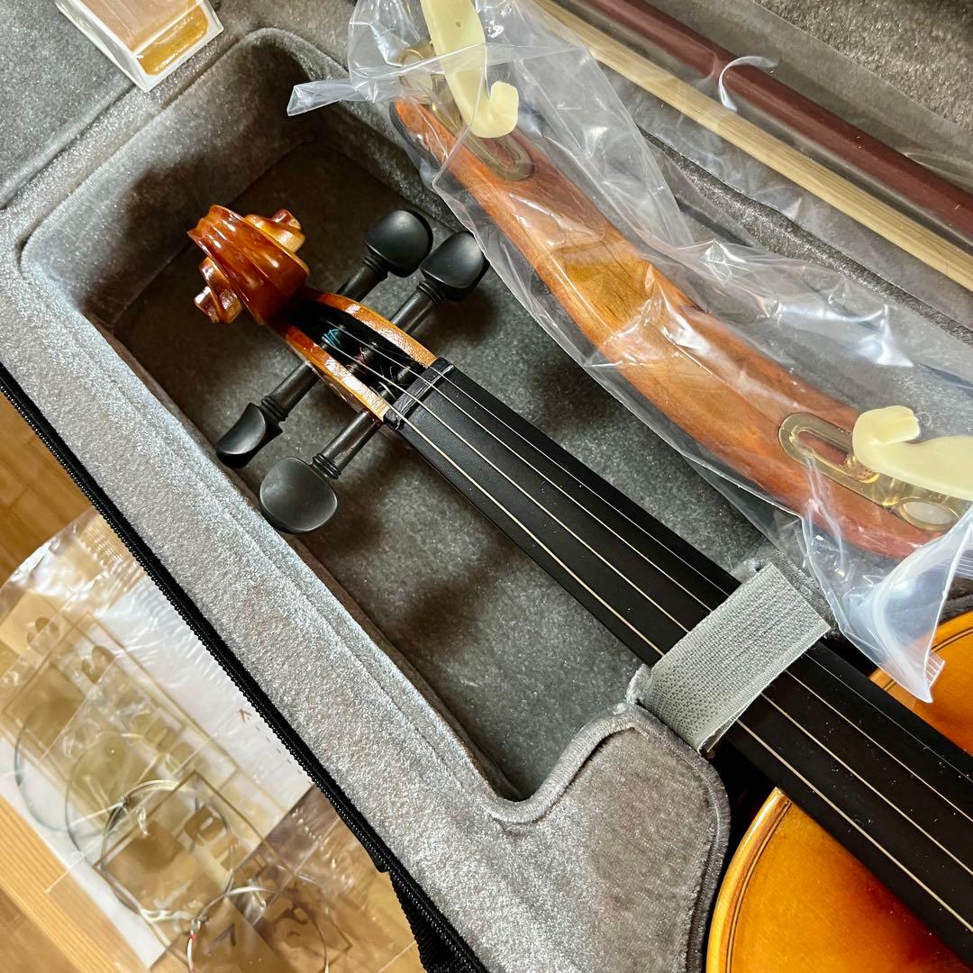 Eastarバイオリン 4/4 単板 ソリッド 弓2本