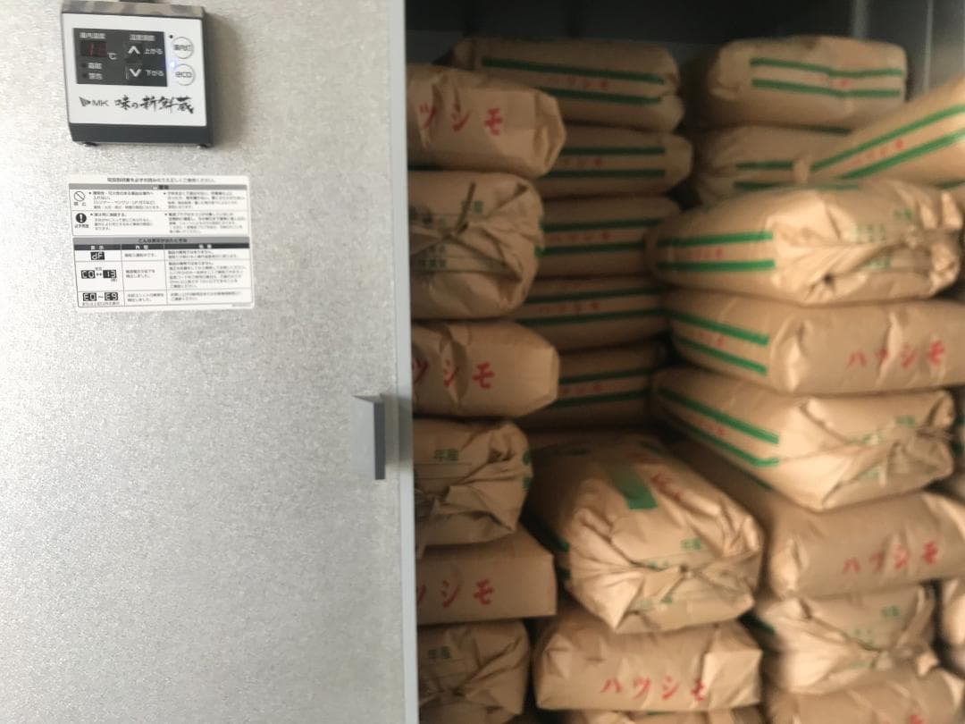 ブランド米　令和７年度『岐阜ハツシモ』新米 玄米(精米も可)　30kg　送料無料