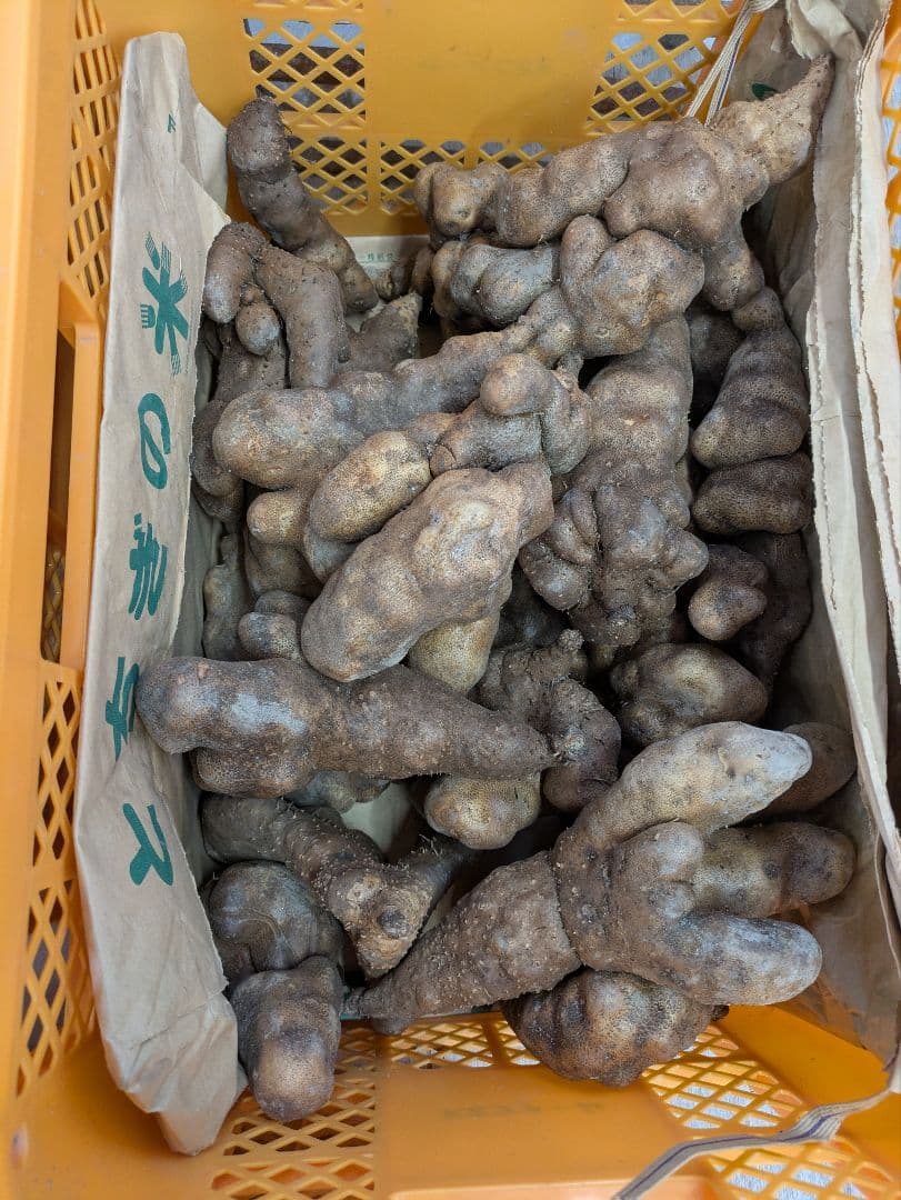 山芋　規格外品　10kg