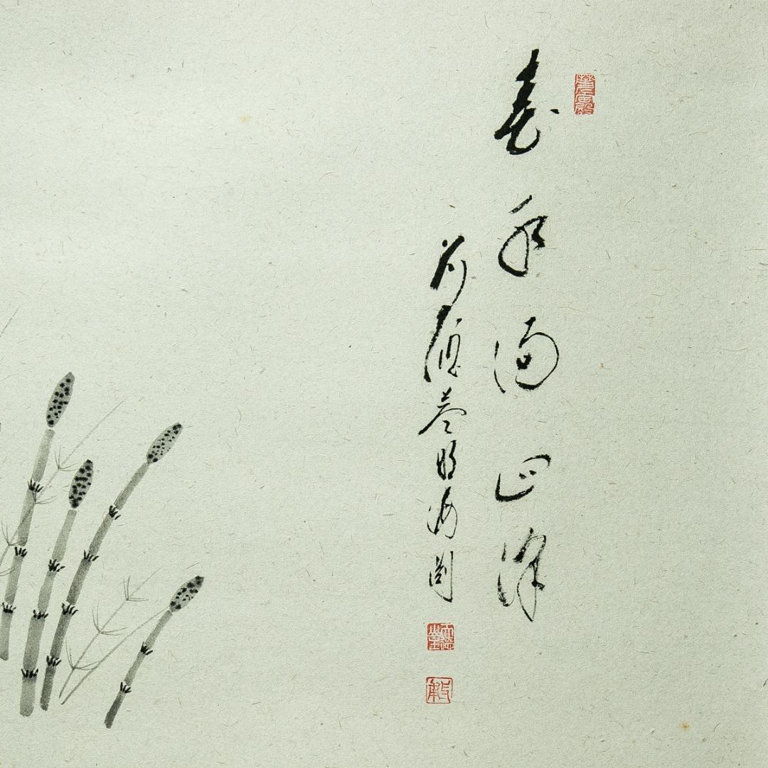 掛軸-1718　大徳寺派　矢野海渕　土筆画賛　「春色満四澤」　共箱