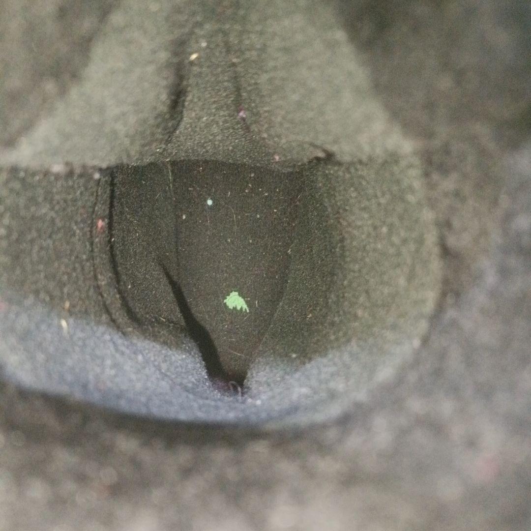 24cm 良■BURTON Zipline BOA　ジュニア　キッズ　子供