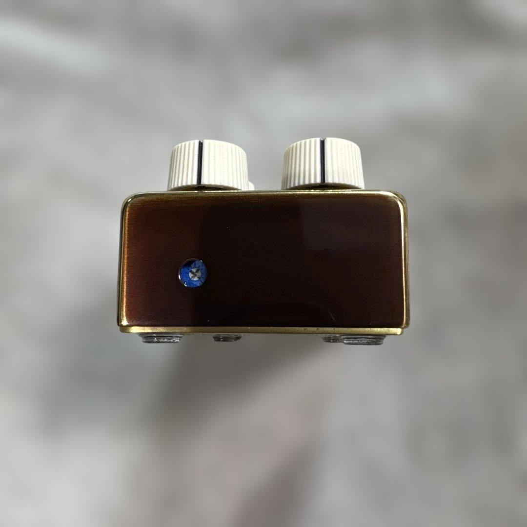 ギター Vemuramu Jan Ray