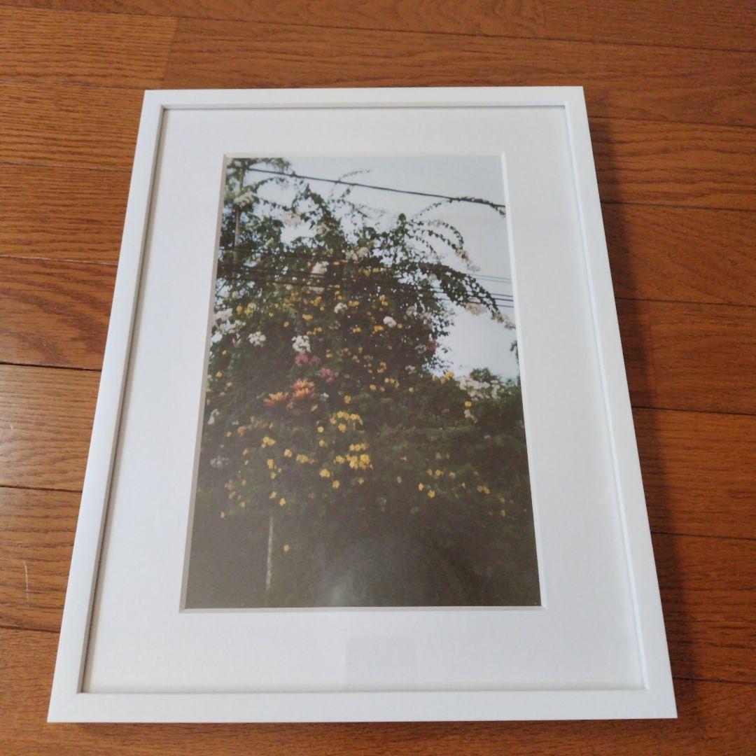 永瀬沙世　写真家　写真　アート