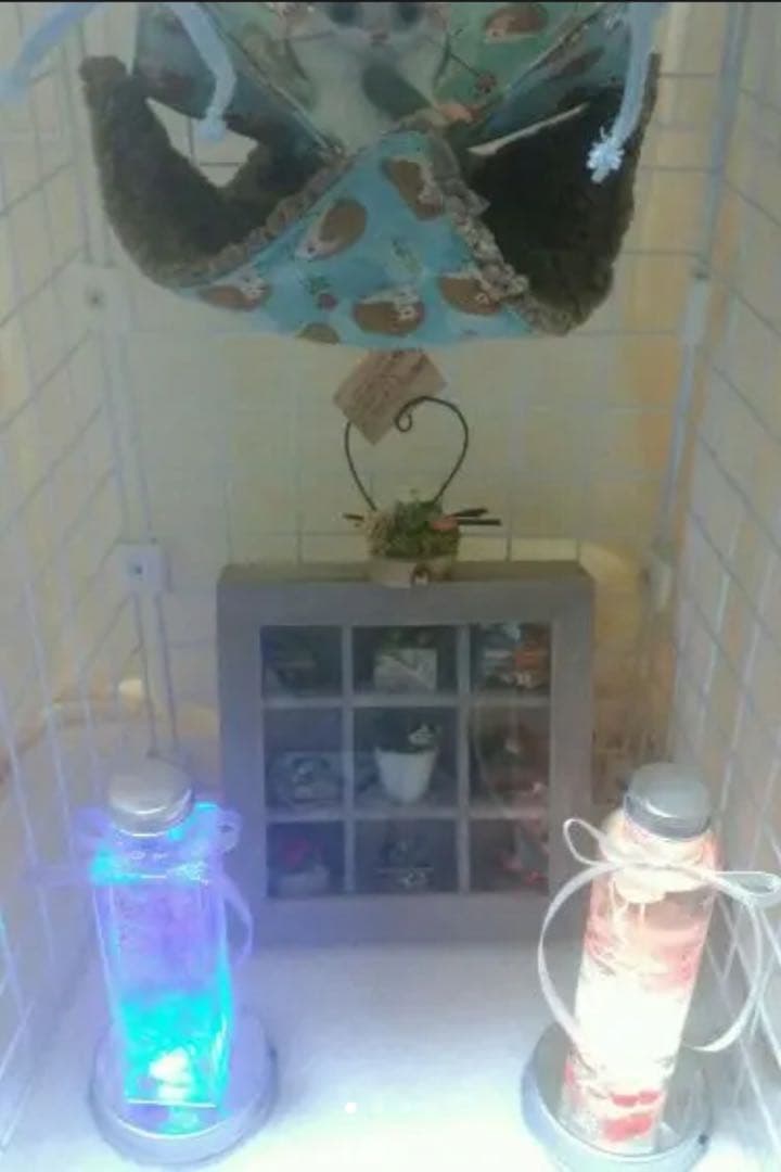 モモンガハウス(おすましハリネズミ柄)ボア茶   冬仕様  1900円