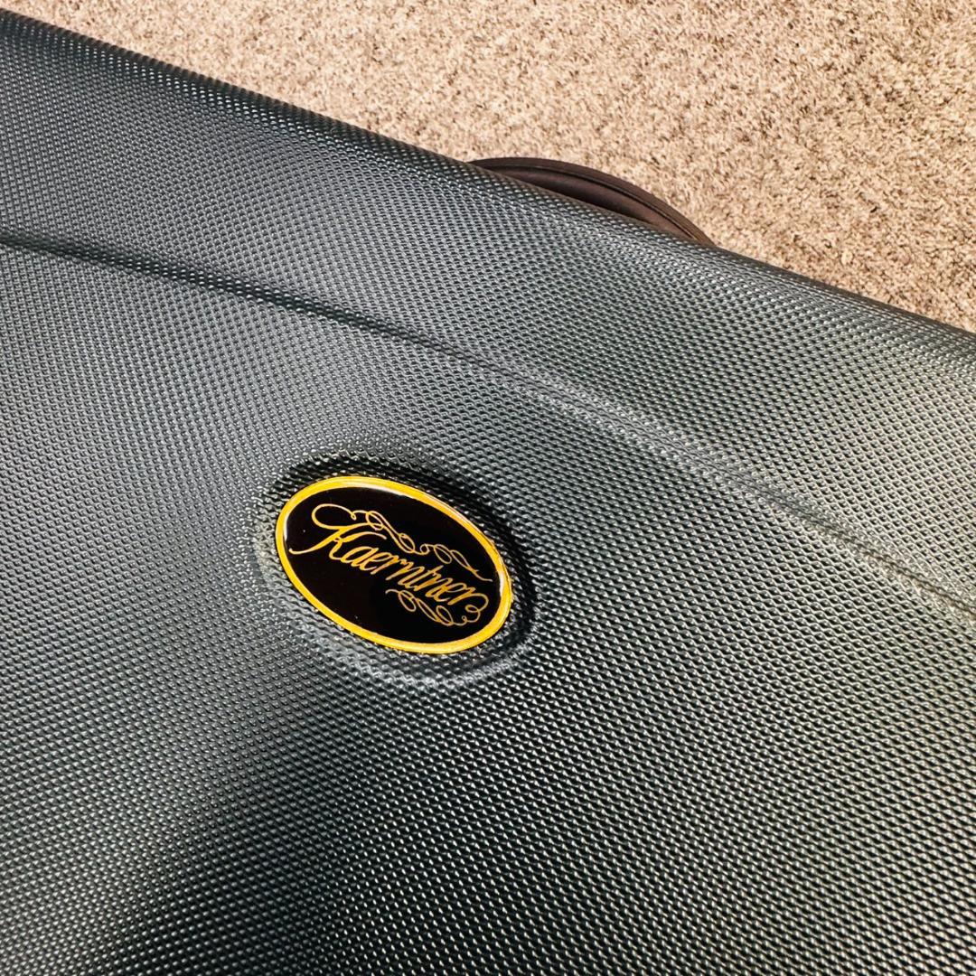 kaerntner アルトサックス サックス 管楽器 ケース付き