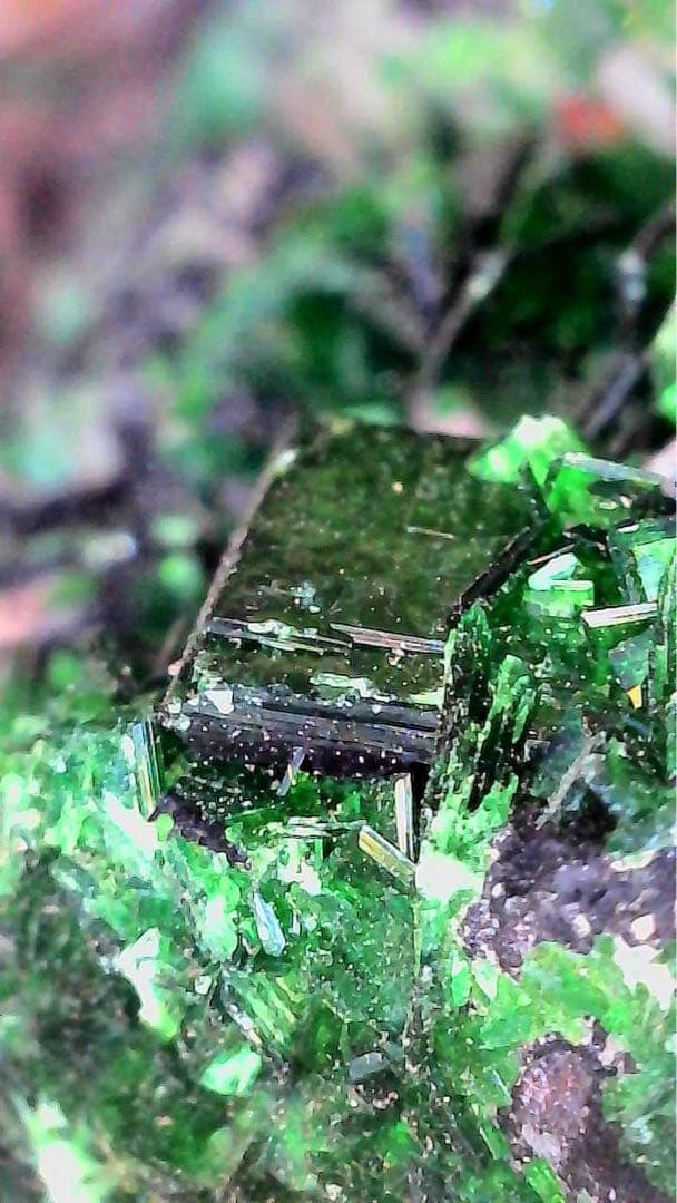 燐銅ウラン鉱　torbernite コンゴ産　放射性鉱物