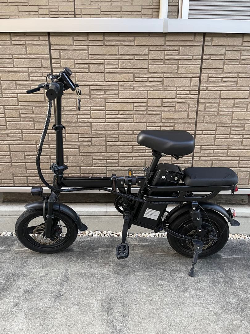 【東京スラムダンク】電動自転車48V/20ahアクセル付き