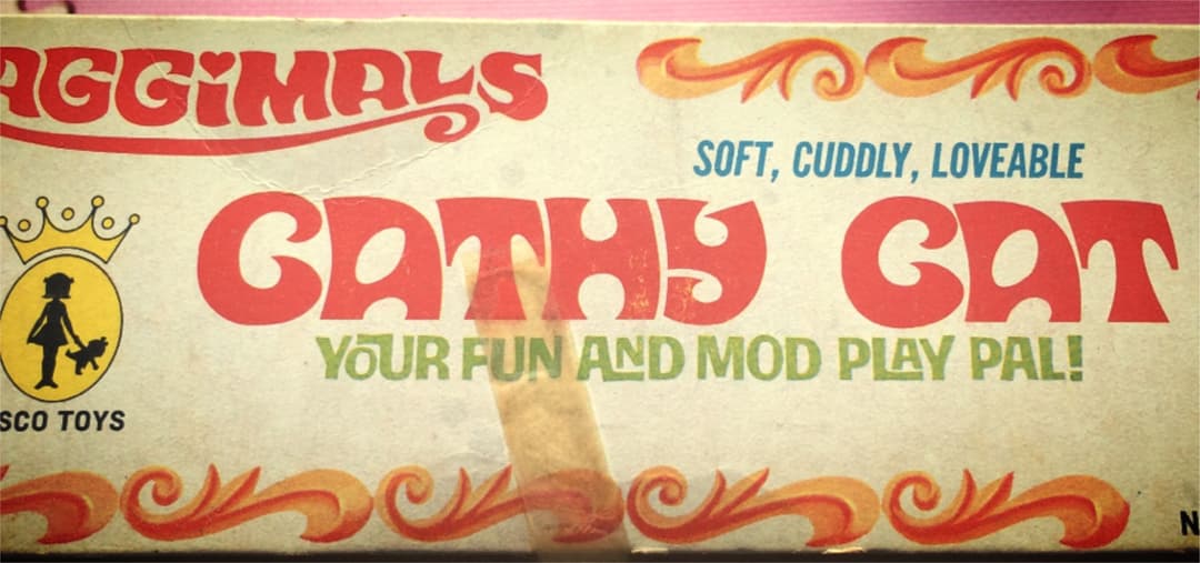 1969年 CATHY CAT 箱付