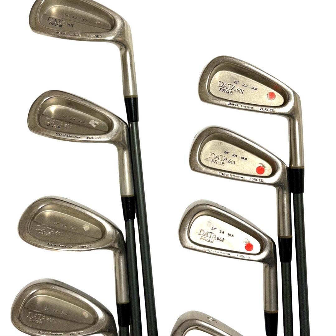 名器 プロギア DATA601 アイアンセット 右打ち 10本 メンズ 三浦技研