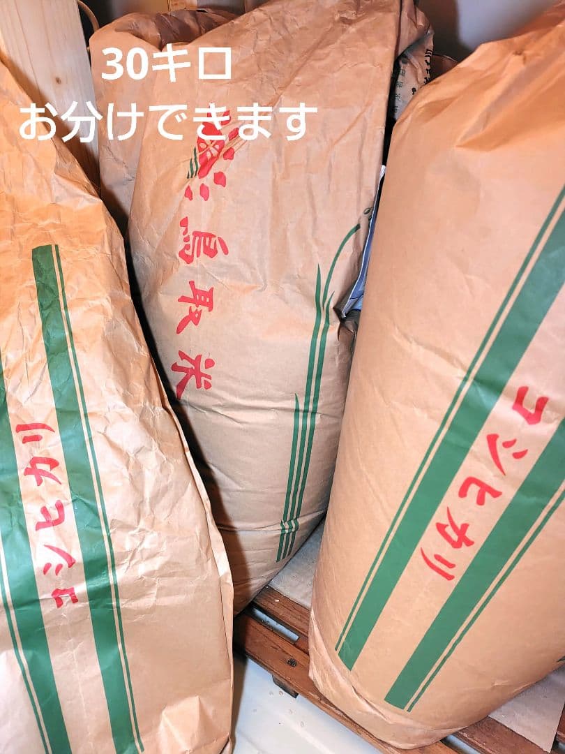 鳥取県産　コシヒカリ　玄米　減農薬10kg