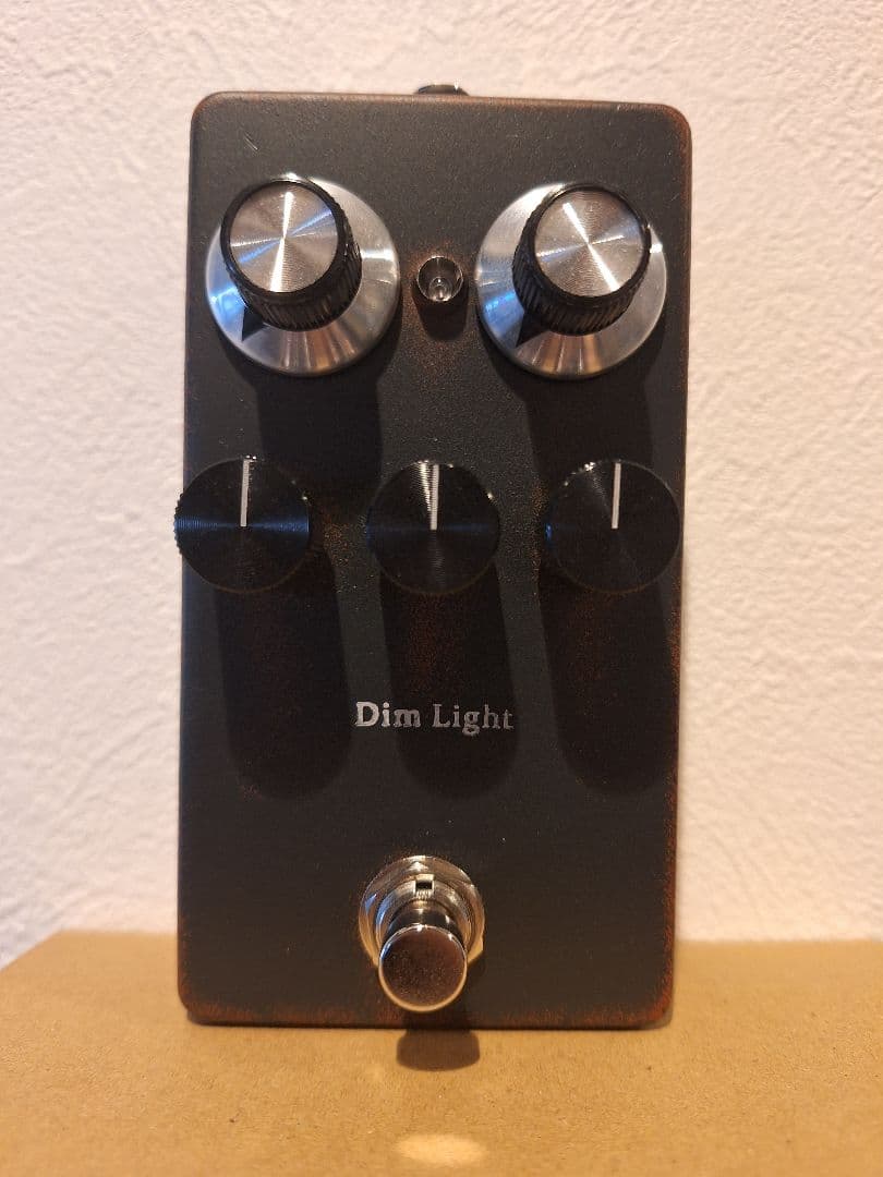 ギター 1995FX/Dim Light