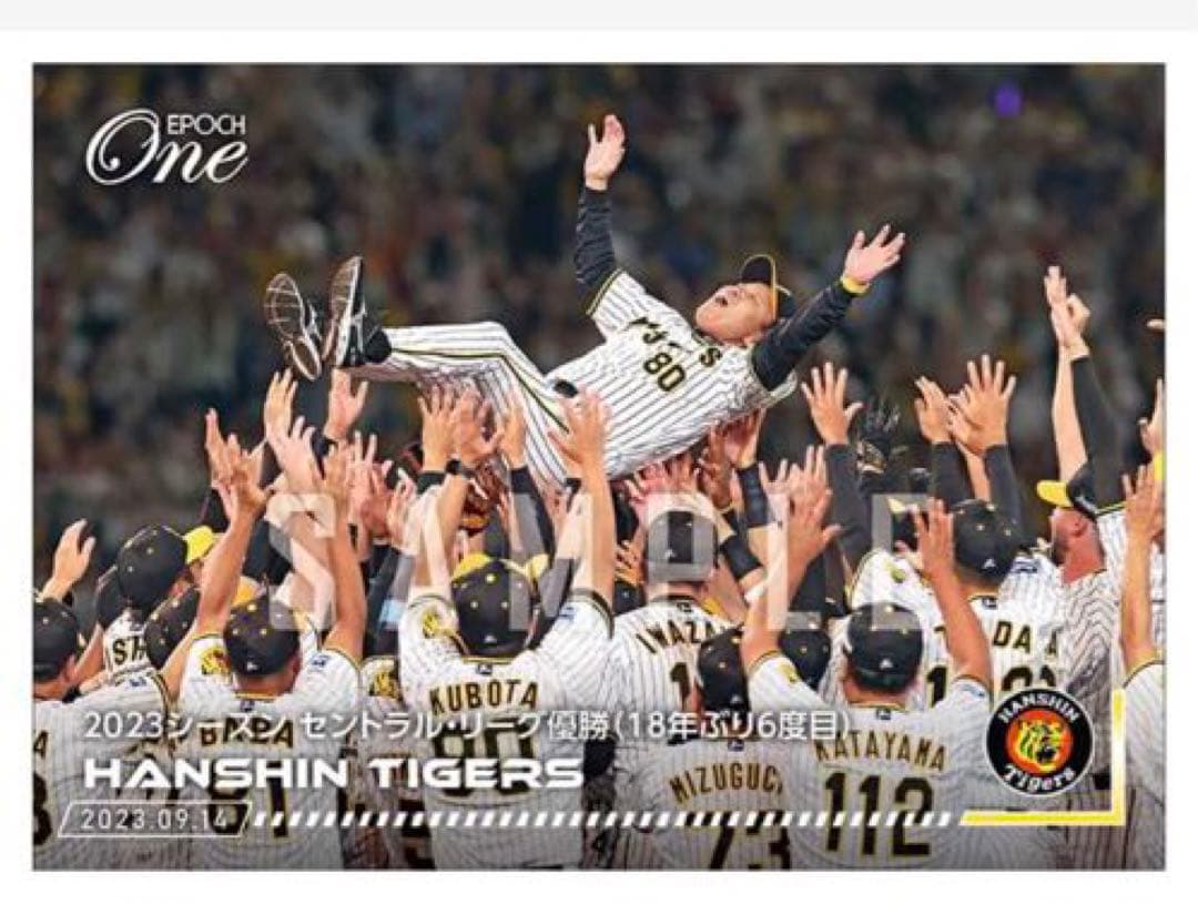 「9枚フルコンプセット」阪神タイガース リーグ優勝決定試合 記念（23.9.14