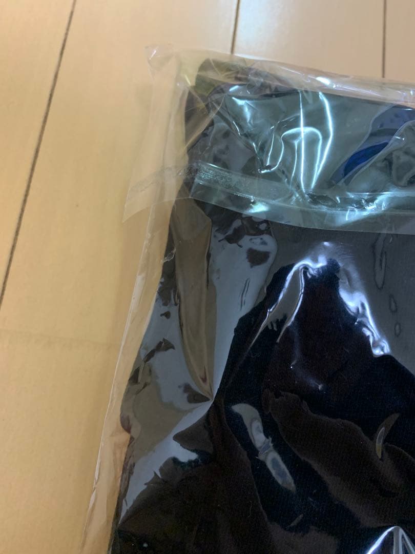 真天地開闢集団ジグザグ　新品未開封参拝装束〈全国開闢禊-最高-〉パーカー