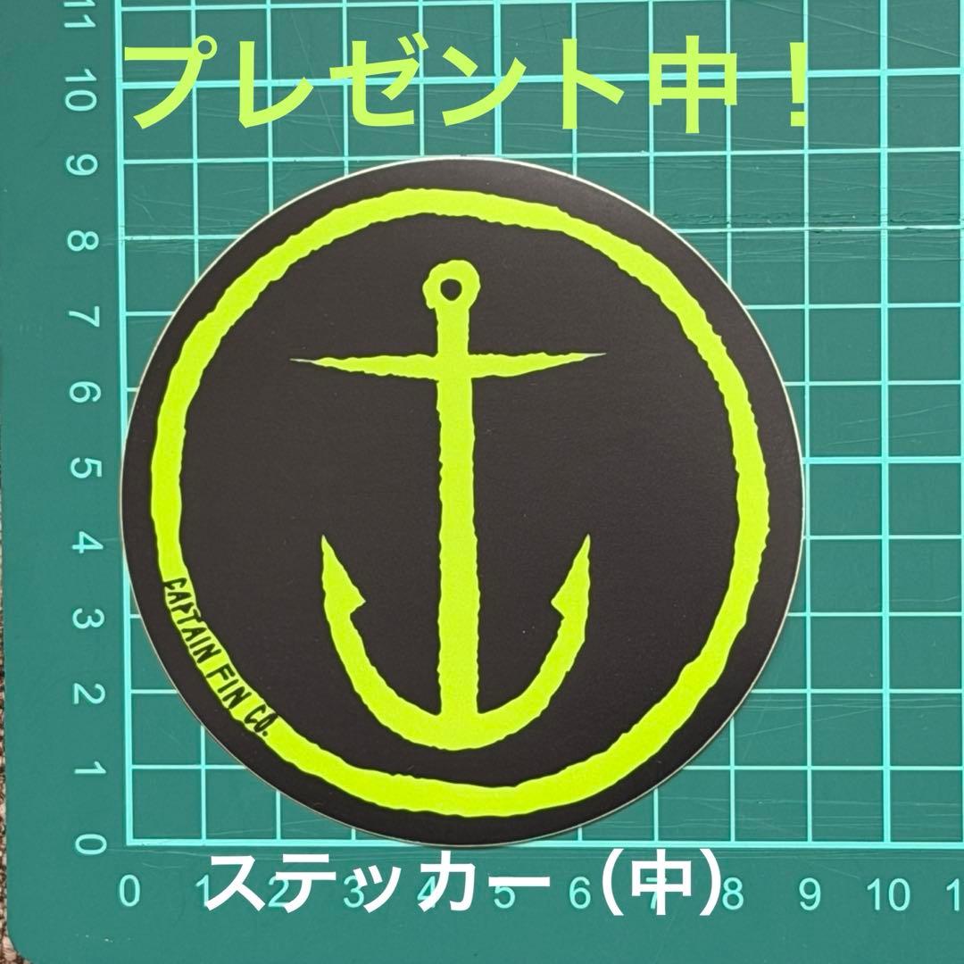31%OFF！キャプテンフィン 『ＣＦシリーズ　クイックネス ツインタブ』FCS