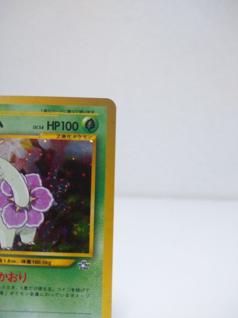 しん  ジョウト御三家3セット メガニウム種 バクフーン種 オーダイル種