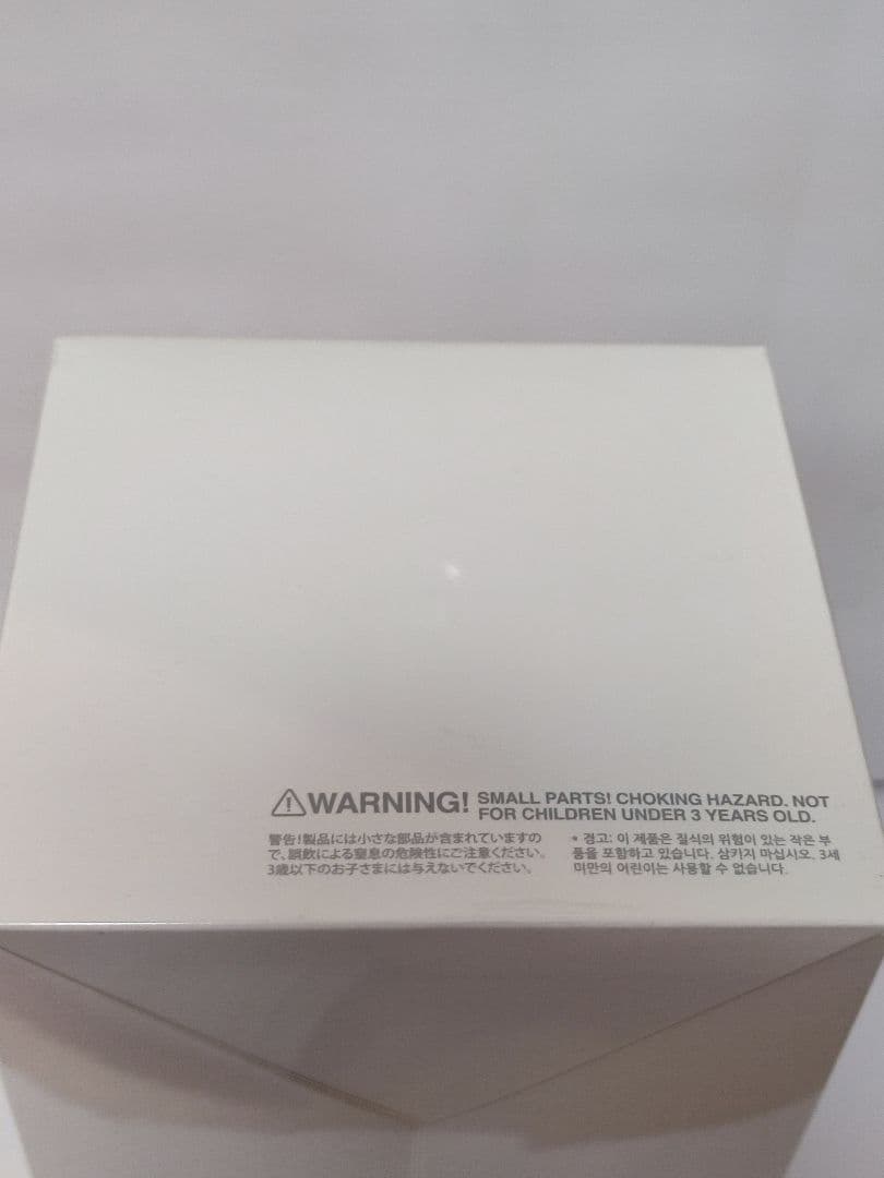 未開封・正規品　ラブブ Big into Energy アソートボックス 1個