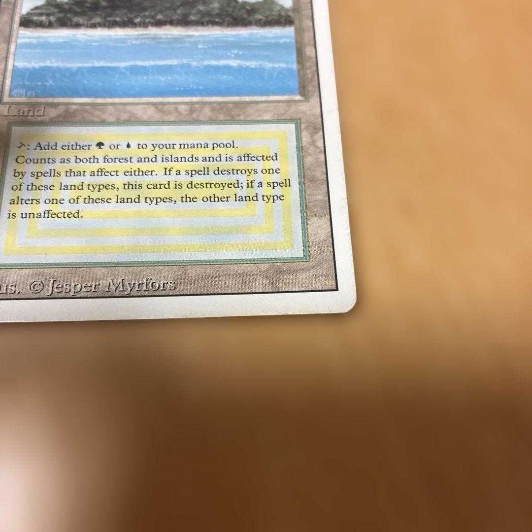 MTG Tropical  英語