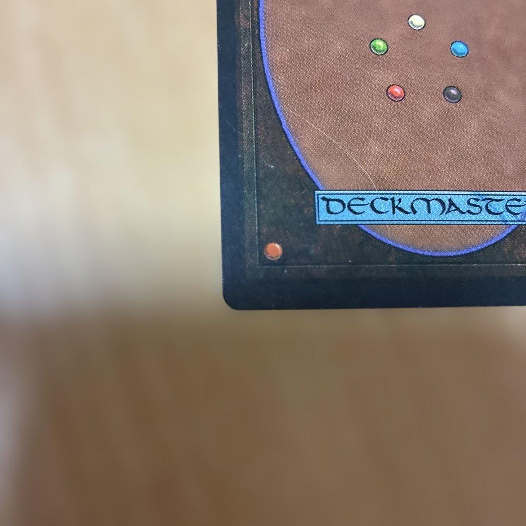 MTG Tropical  英語