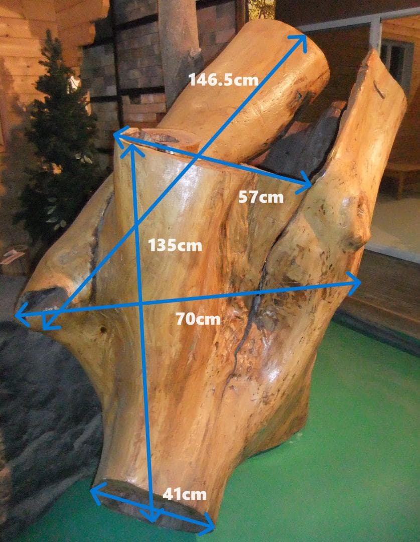 【稀少レア１点物】巨木★巨大樹木★自然派ナチュラル系、生け花【展示品★送料別】