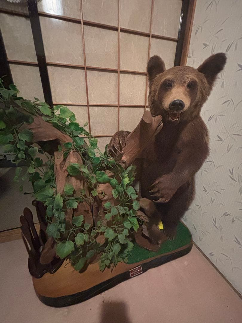 クマの剥製（約110cm）