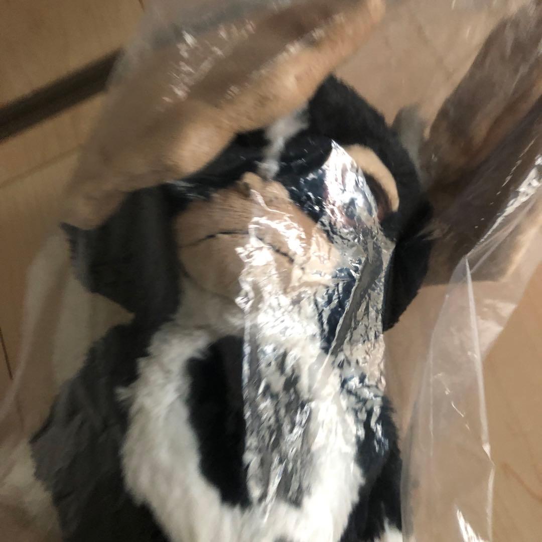 u*0様 ギズモ ぬいぐるみ　35㎝