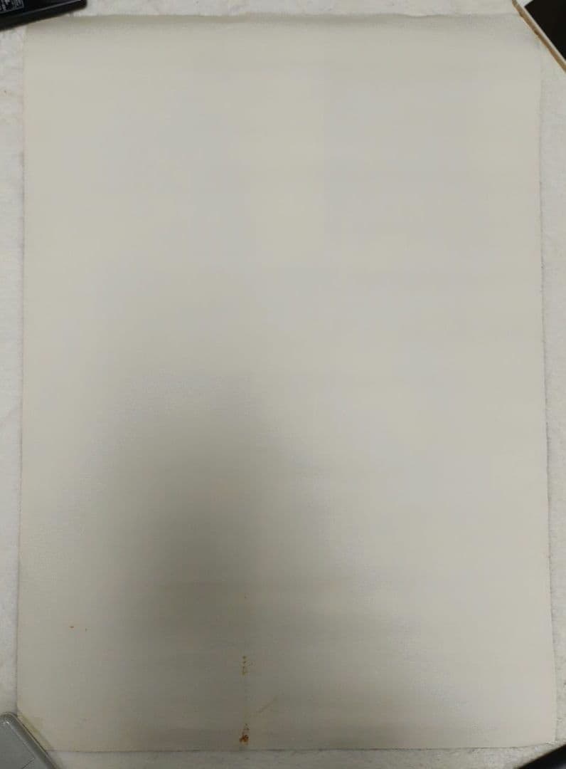 ミッシェル・ガン・エレファント cult grass stars ポスター