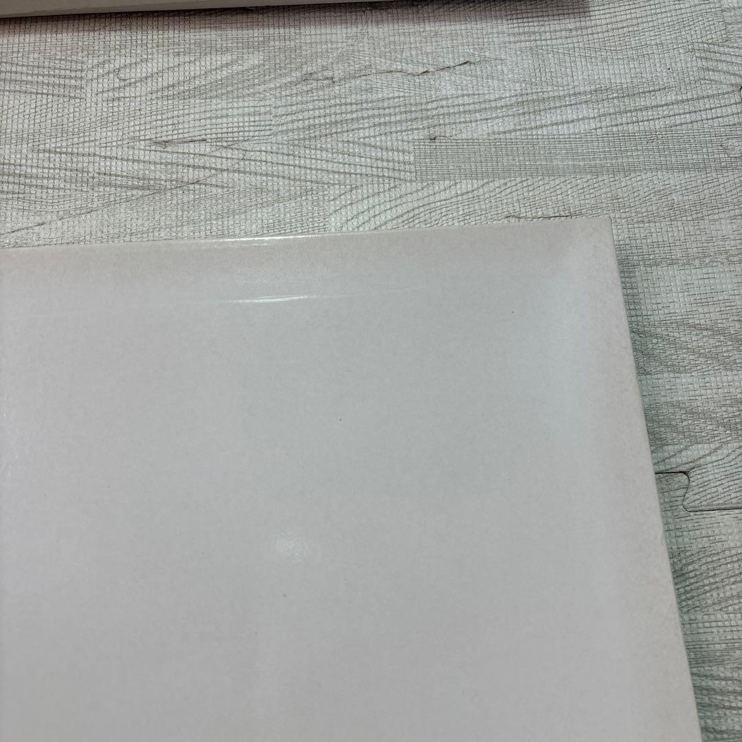 F-1 アイルトンセナヒストリーコレクション＆セレクションIIセット✮