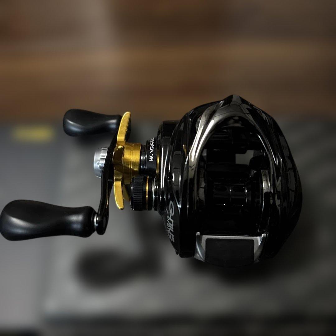 ジーニアスプロジェクト　グラビアス