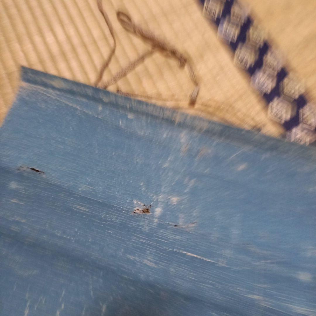 掛軸　希少　コレクション　古物　鶏