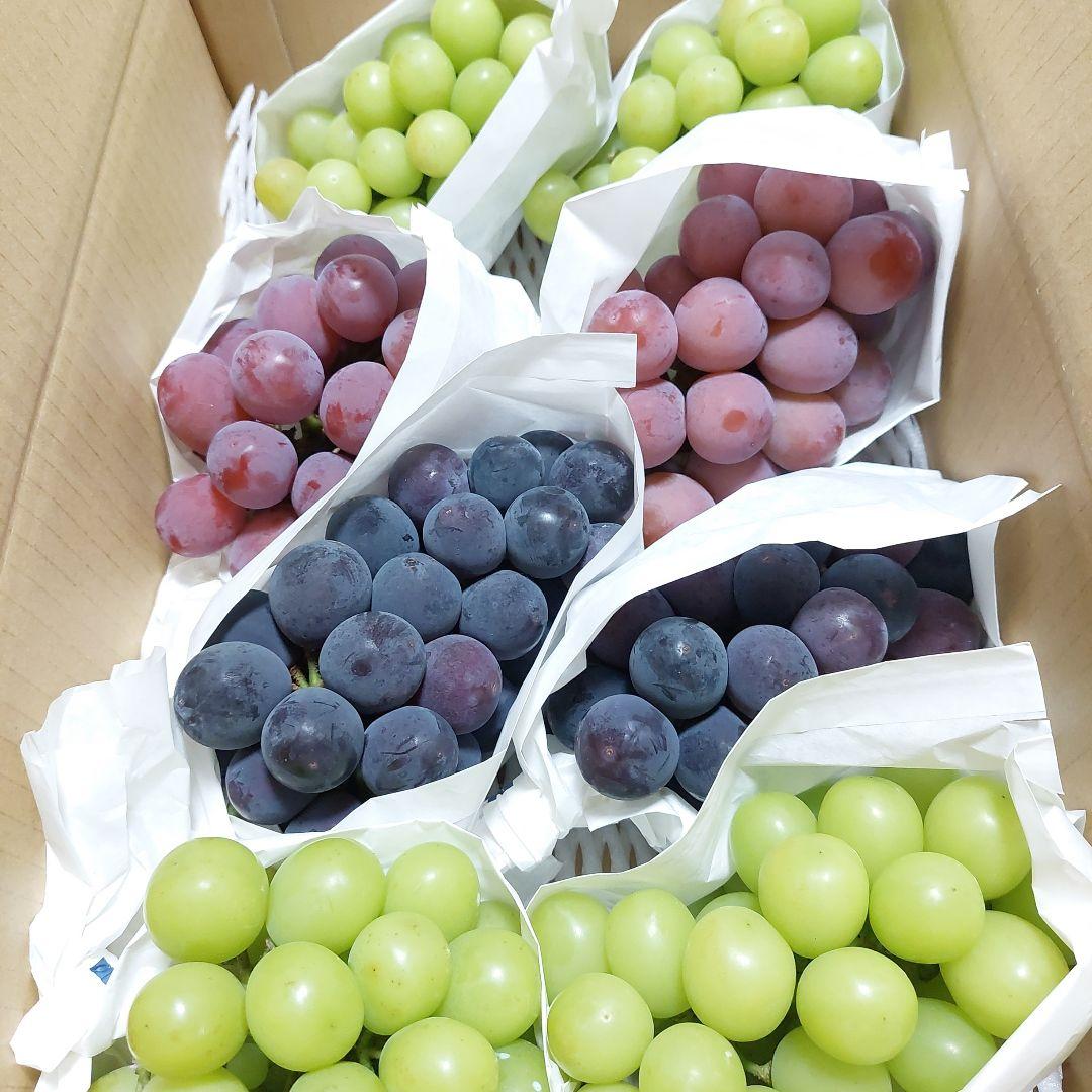 新鮮ぶどう詰め合わせシャイン　巨峰　クインニーナ　（緑・紫・黒）4キロ
