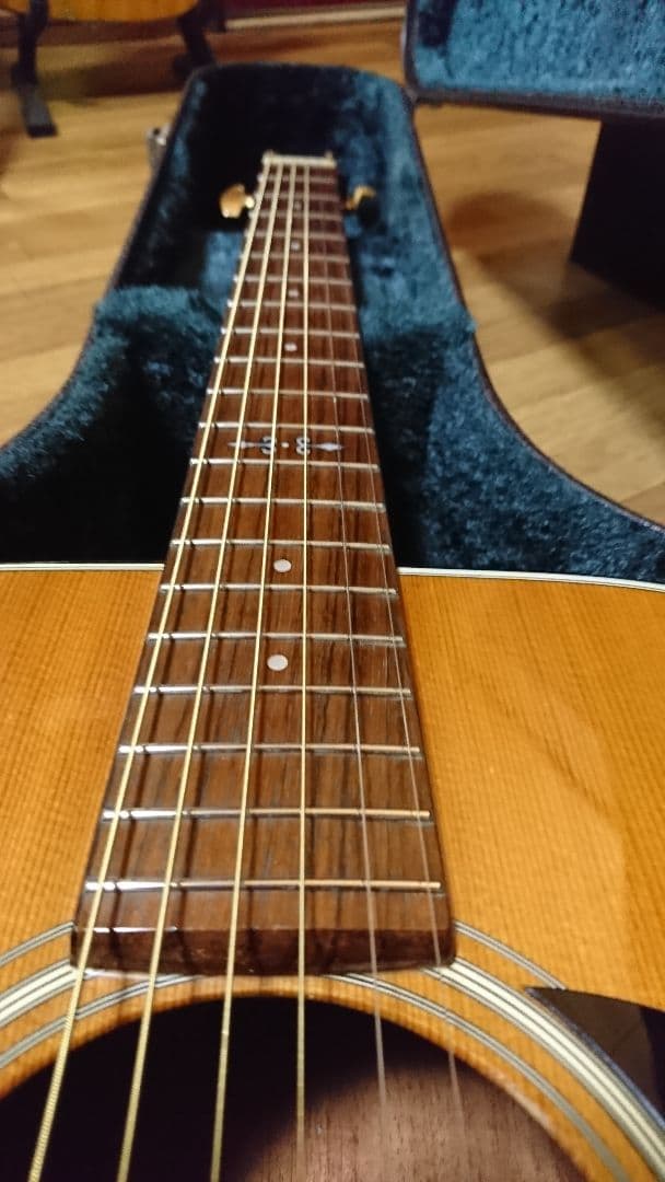 矢入　ヤイリ　yairi RAY-601