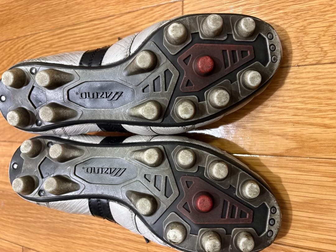 モレリア2JAPAN 25.0